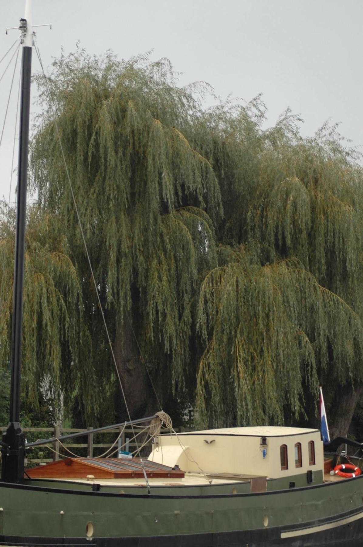 Hotel Barge Waternimf Ely Zewnętrze zdjęcie